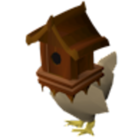 bird_home